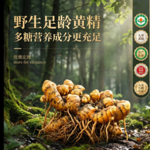 宣传图三